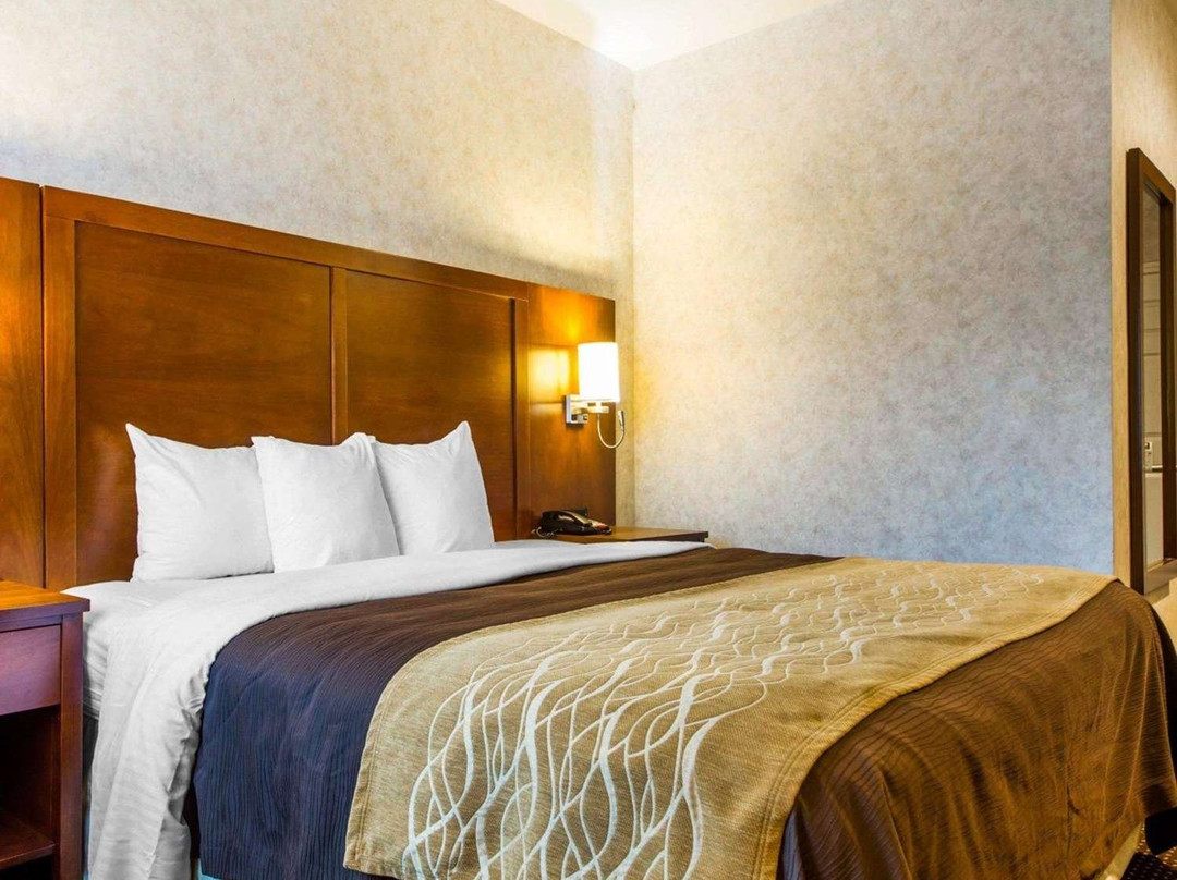 Comfort Inn Watsonville主图