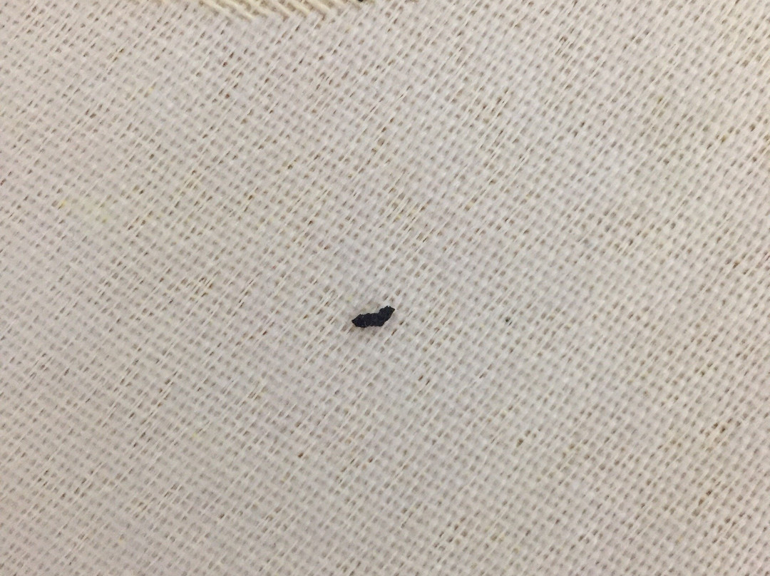 Whitelace Hotel Resort & Spa主图