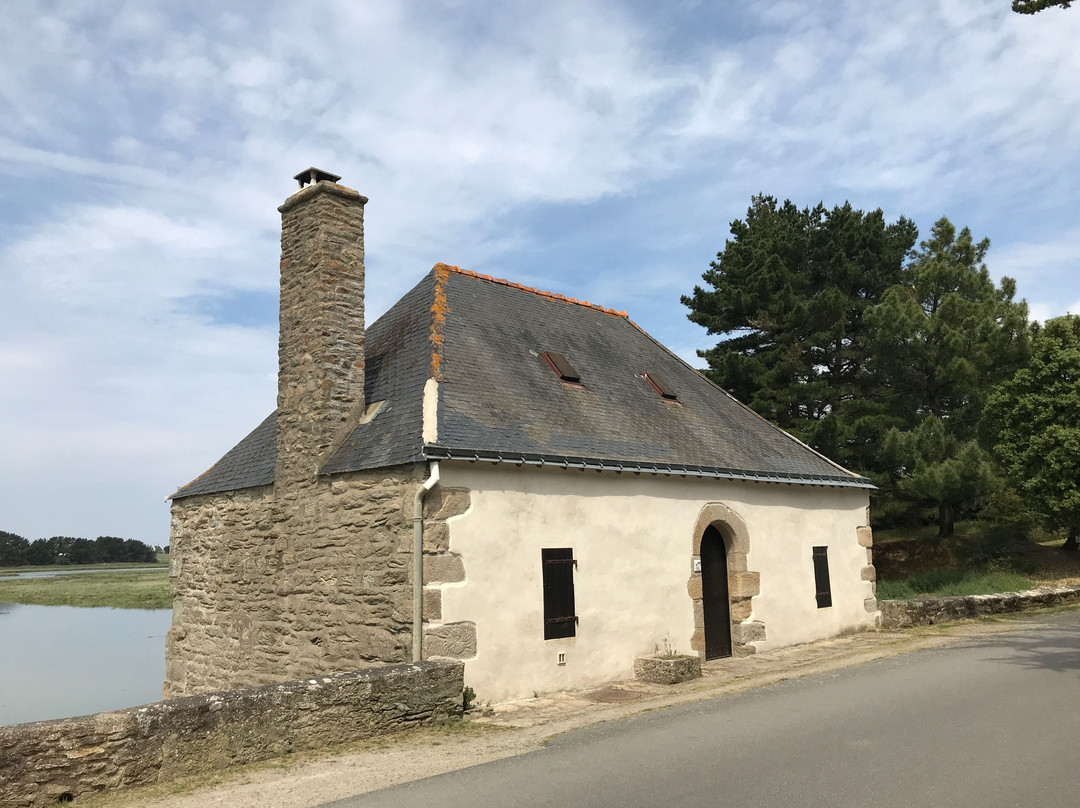 Marais de Lasne景点图片