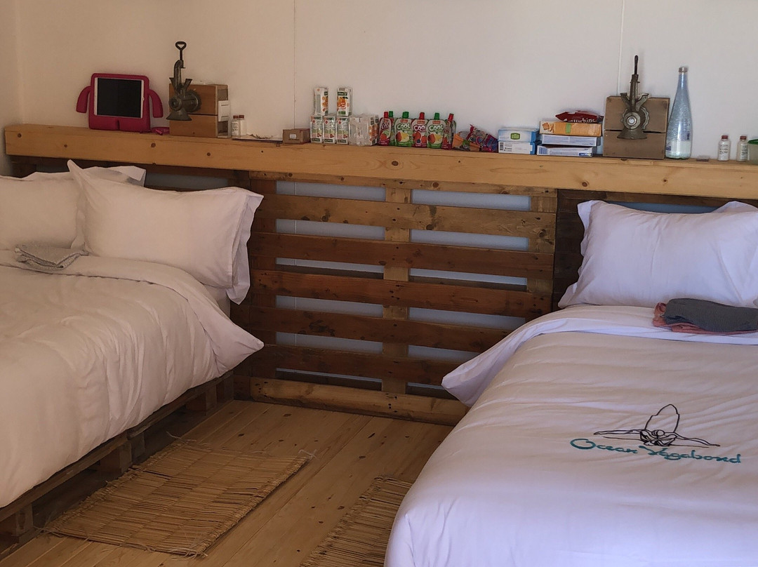 Ocean Vagabond Lassarga主图