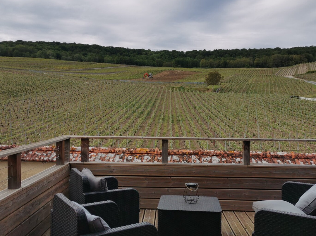 Chambre D'Hote Pinot Noir