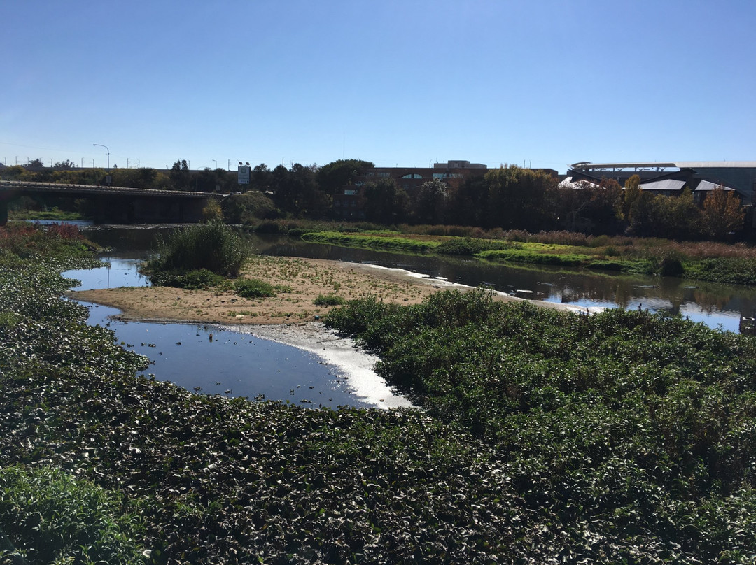 ANEW Hotel Centurion Pretoria主图