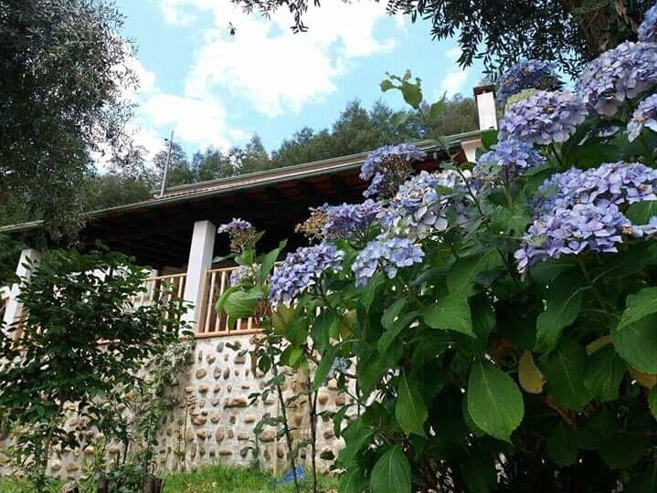 Magnolias Cottage-浴室