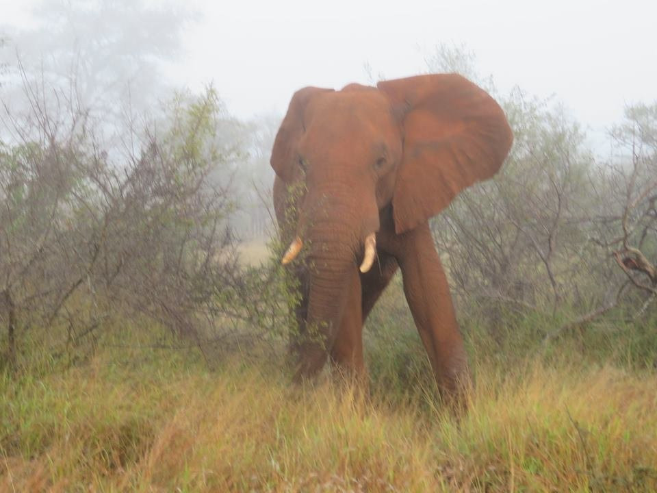 Cape Town Experience Day Tours-开普敦中心区必去景点