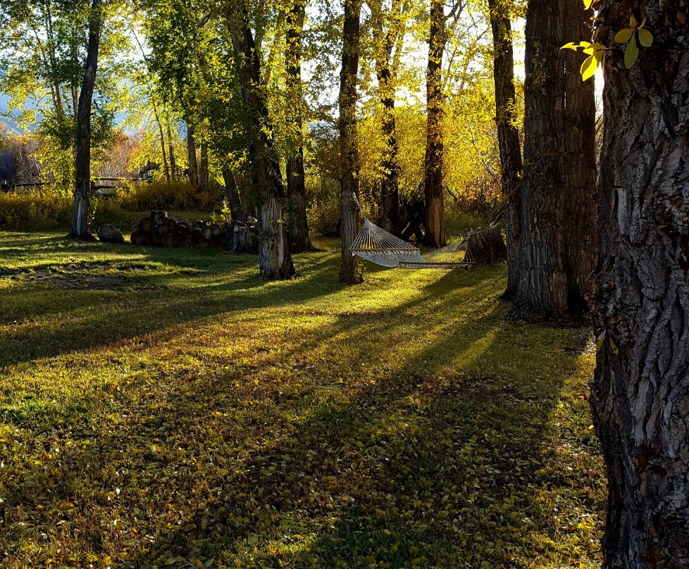 Jakey's Fork Homestead主图