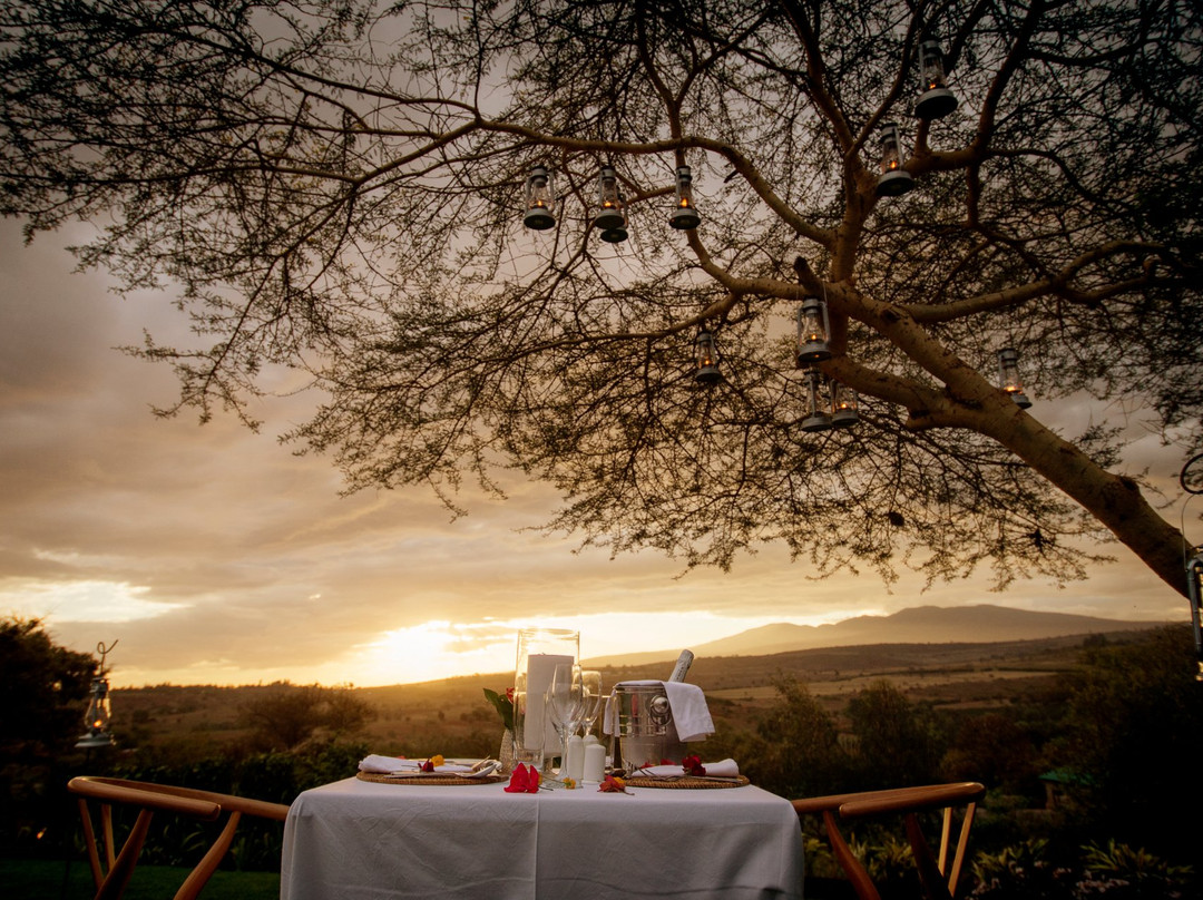 Napanda Tours and Safaris-阿鲁沙必去景点