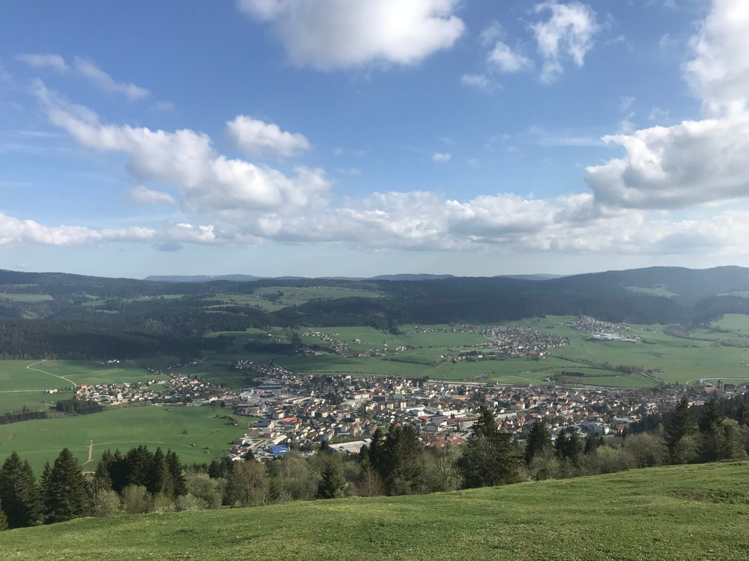 Belvédère du Mont Vouillot景点图片