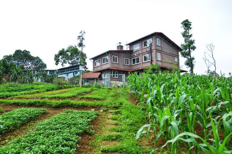 Pandora DongGoi EcoRetreat