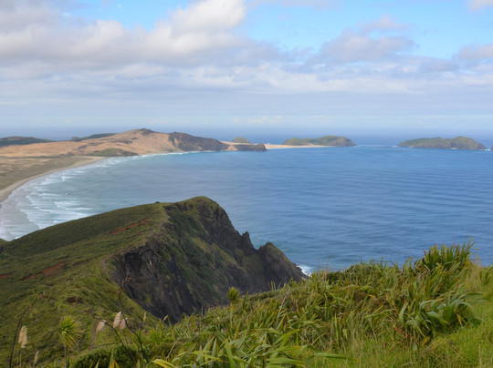 Cape Reinga Adventures Day Tours-雷因格海角必去景点