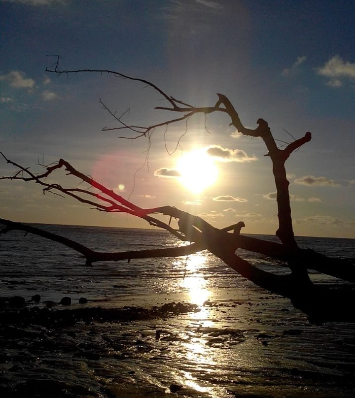 Corcovado Guia CR景点图片