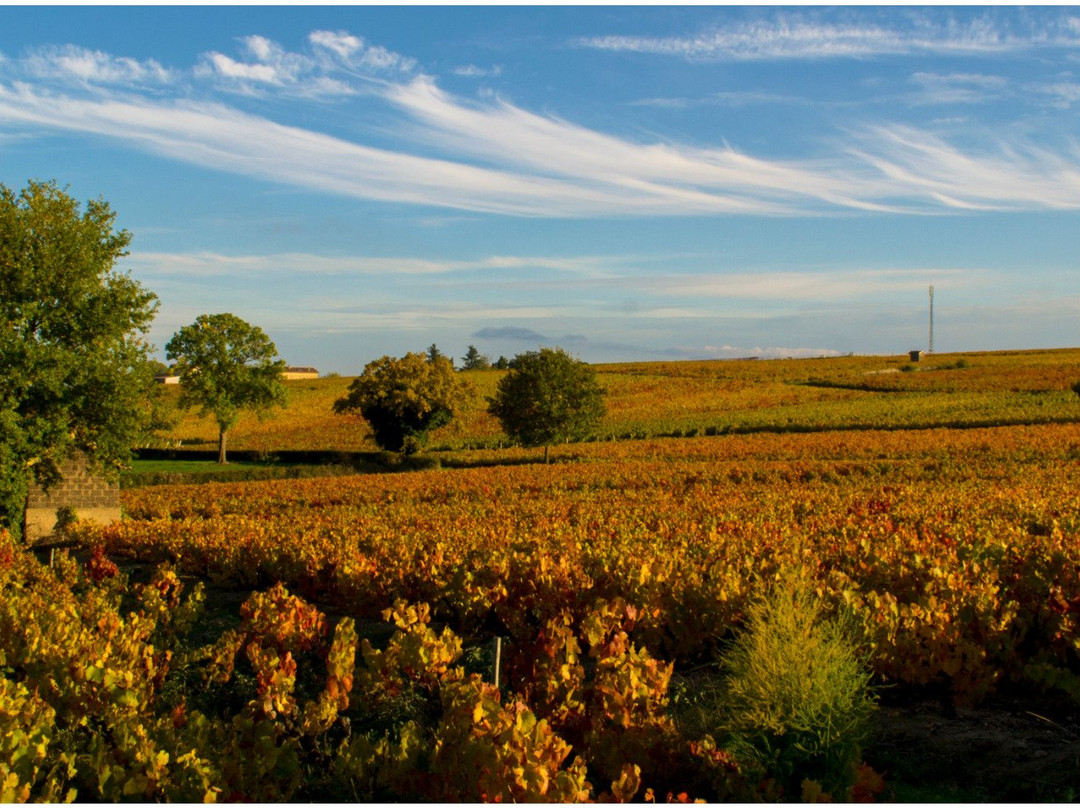 Corcelles-en-Beaujolais旅游攻略图片