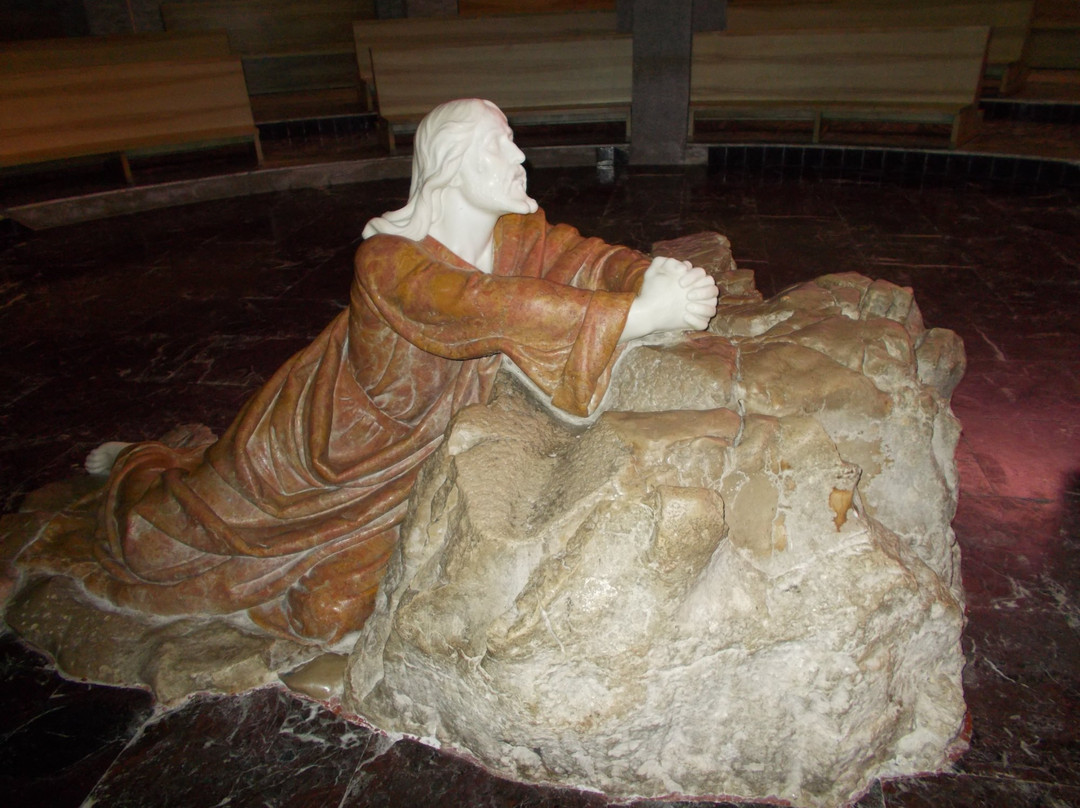 Santuario del Getsemani景点图片
