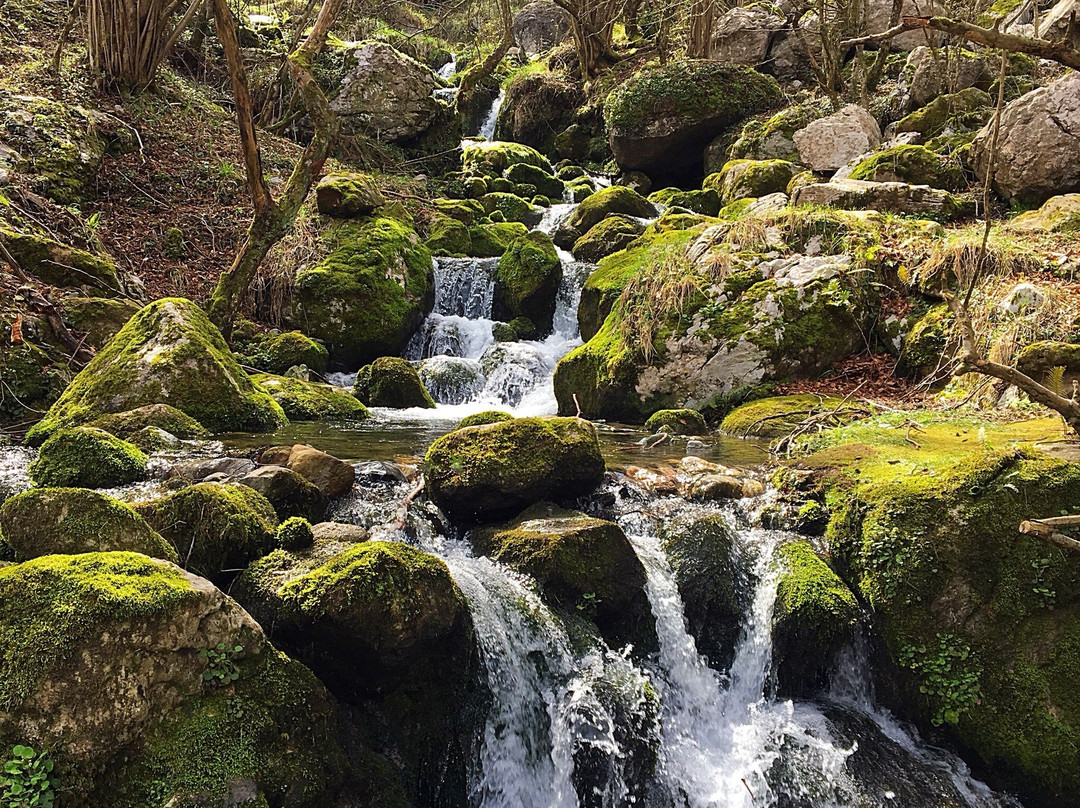 Ason旅游攻略图片