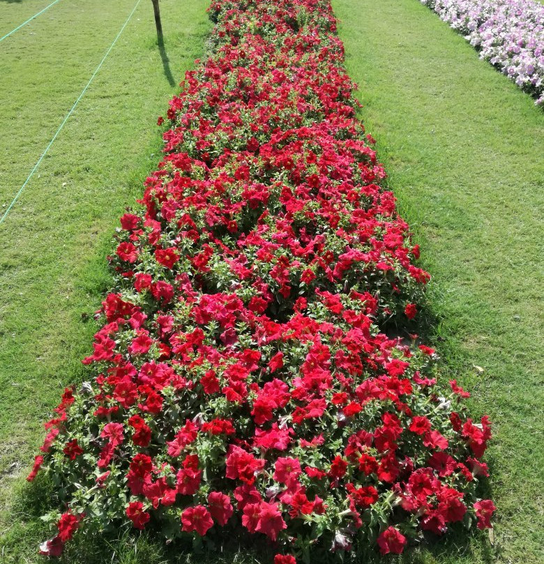 Jilani Park-拉合尔必去景点