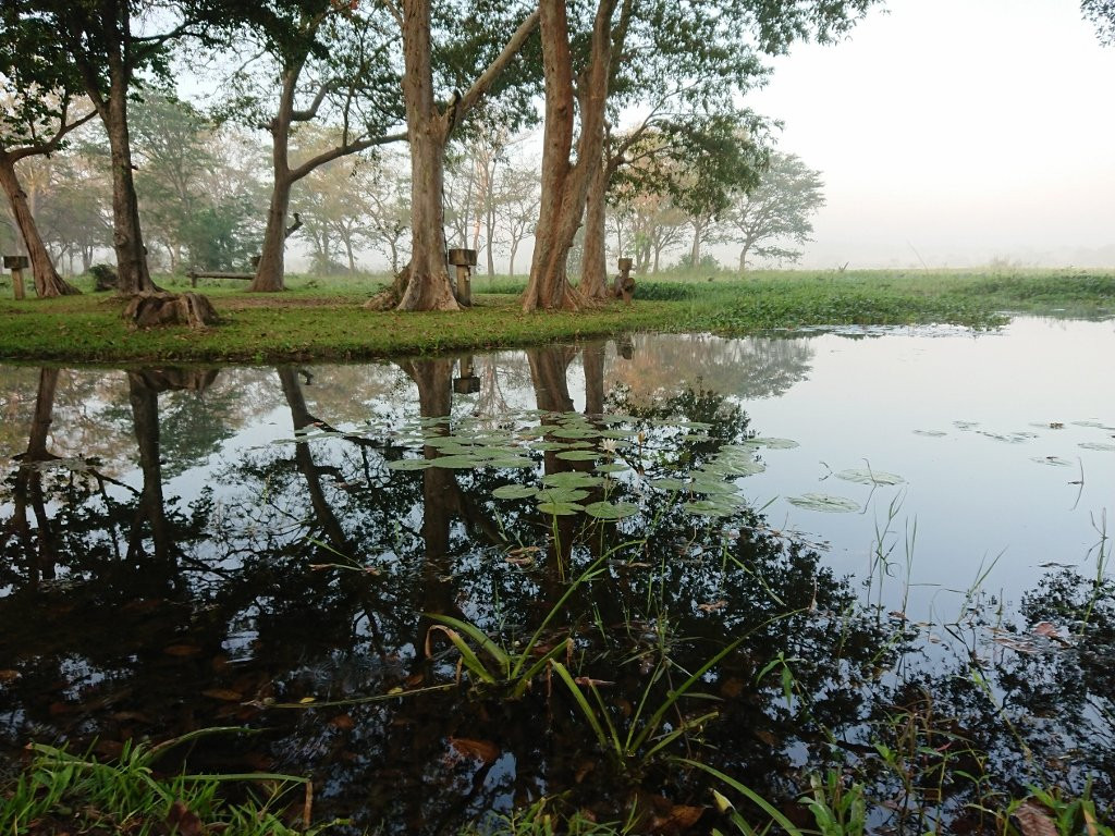 Habarana Lake景点图片