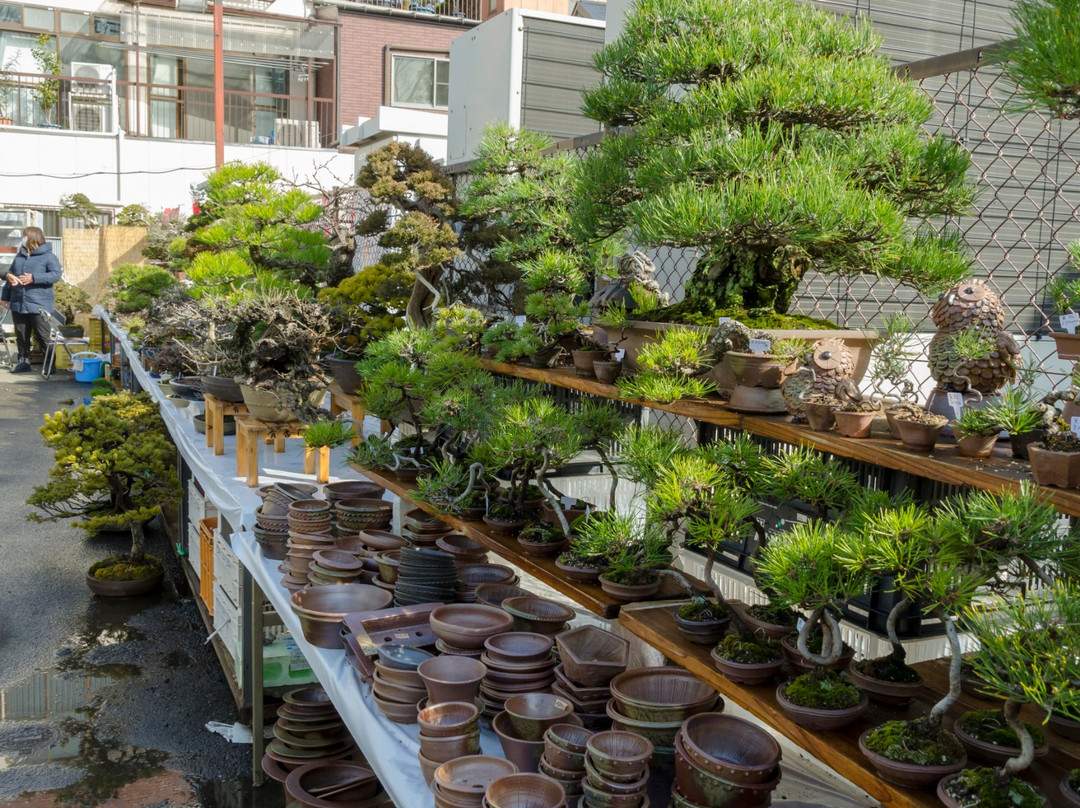 Kokufu Bonsai-Ten-Uenokoen必去景点