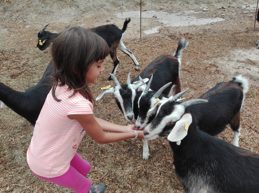 Formatges De Lluca-Lluca必去景点