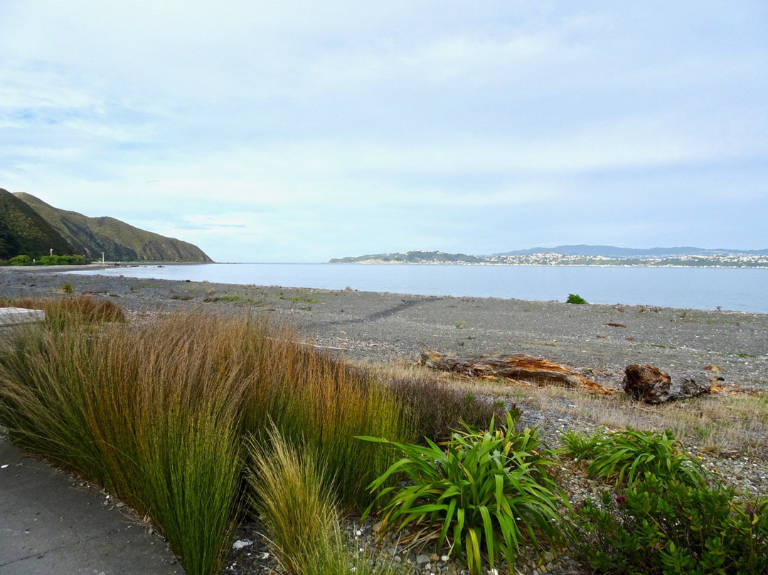 Pencarrow Coastal Trail景点图片