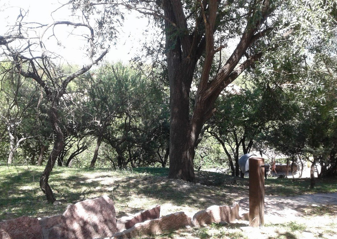 Terrazas de Belgrano主图