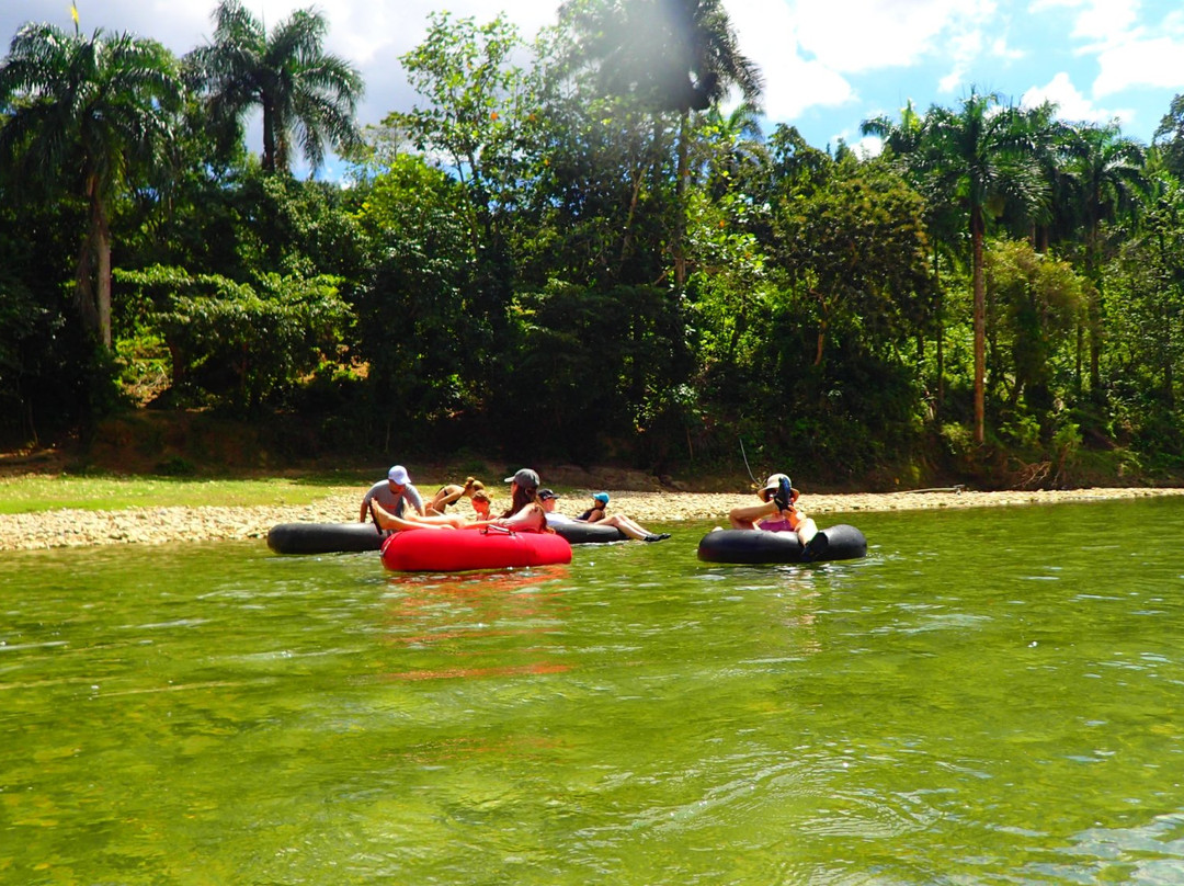 Taino Farm-Los Brazos必去景点