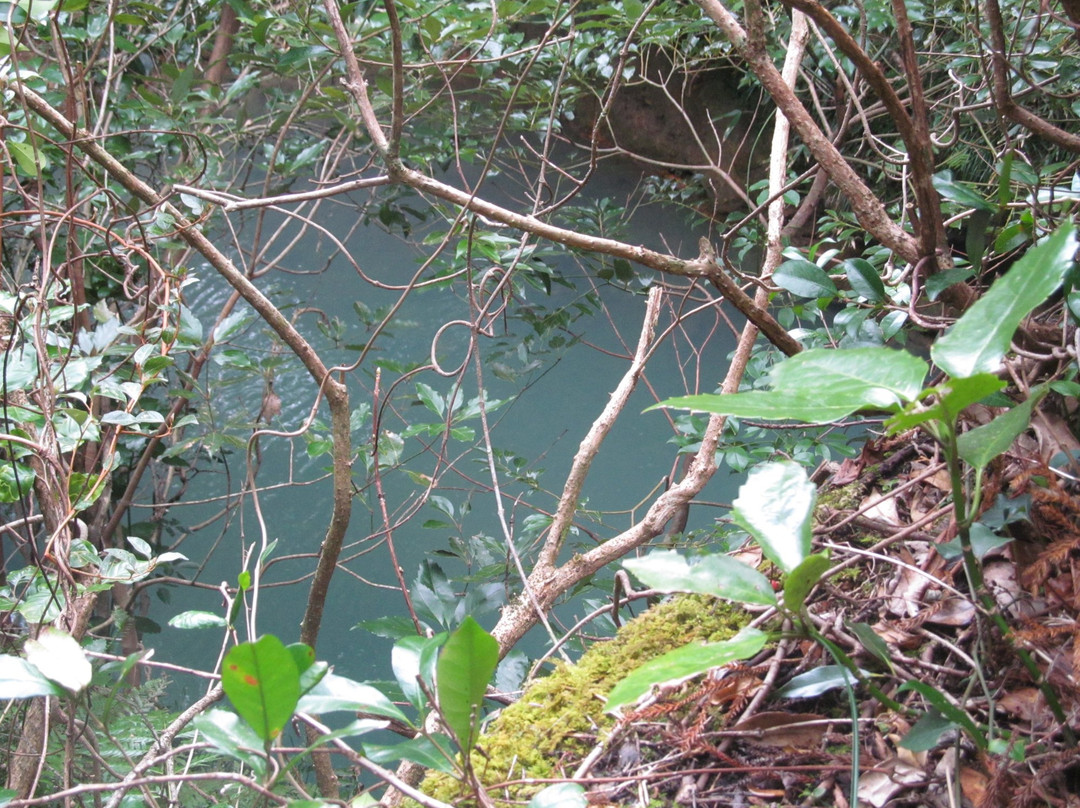 Karataki Fall-八丈町必去景点