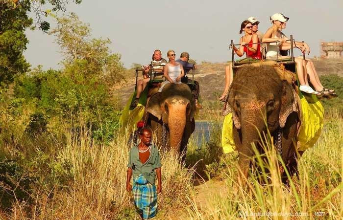 Elephant Riding at Elephant Village-Molagoda必去景点