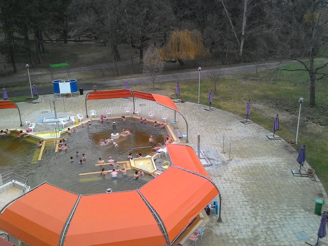 Aquaticum Debrecen Thermal and Wellness Hotel主图