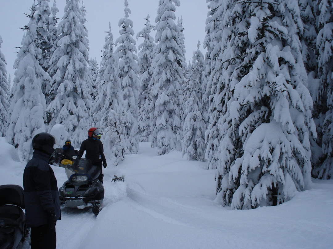 Sun Peaks Adventure Tours景点图片