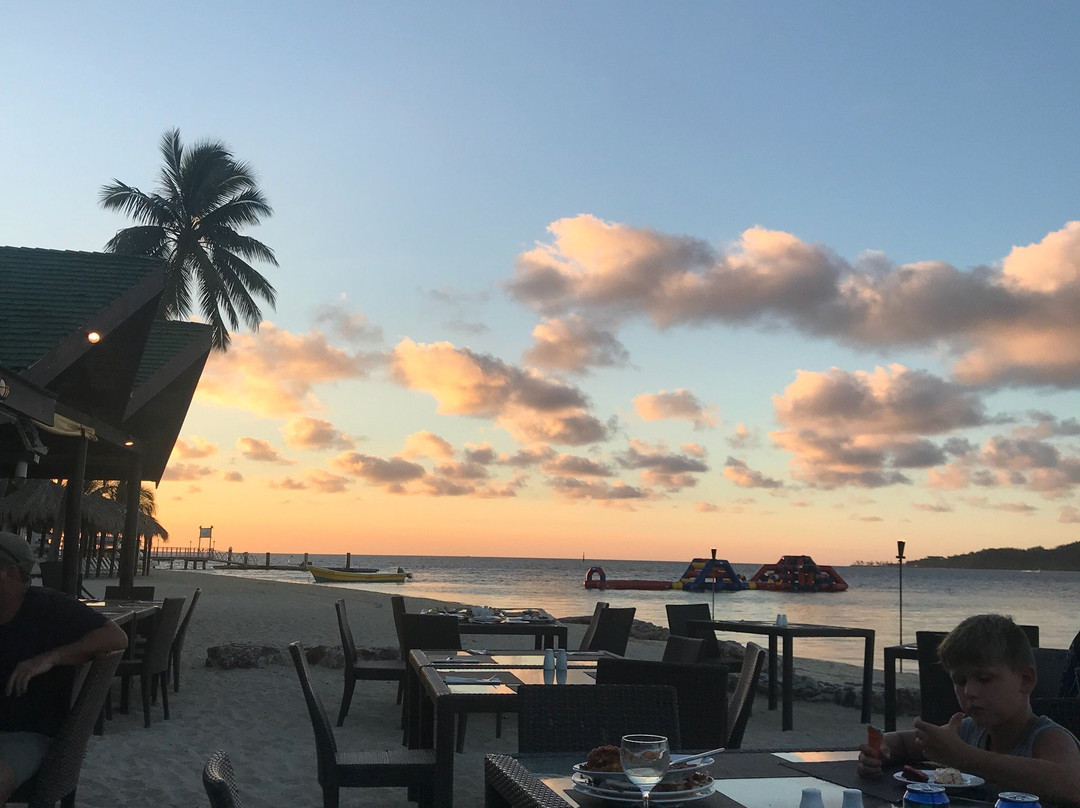 Wadigi Island旅游攻略图片