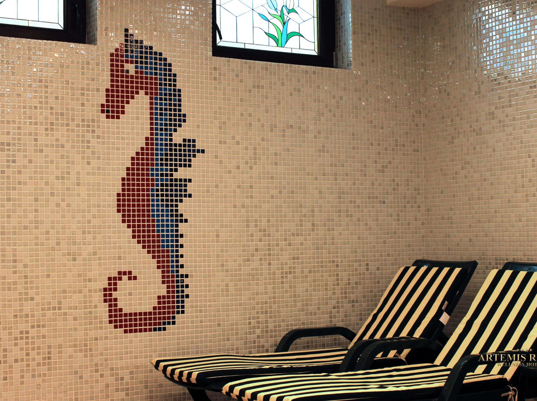 Artemis Resort Wellness Hotel主图