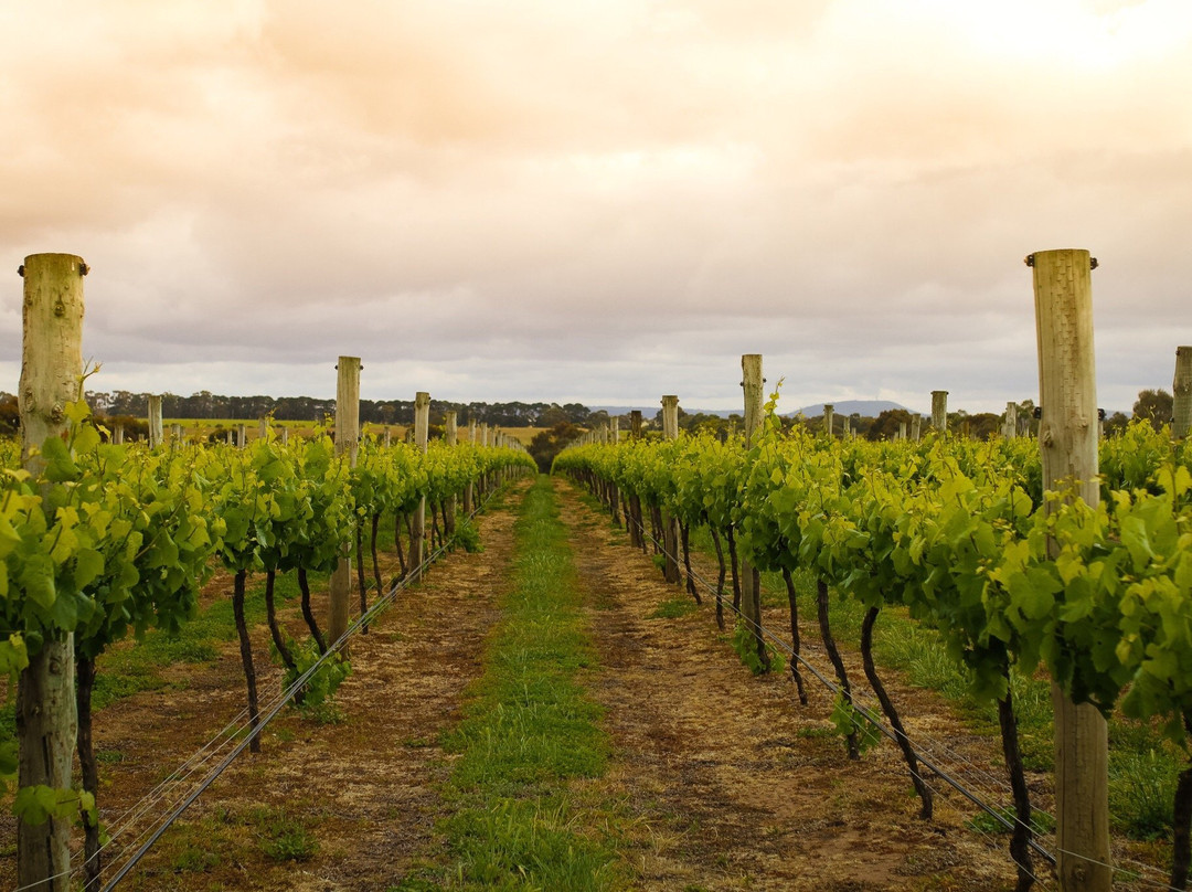 Austin's Wines-Sutherlands Creek必去景点