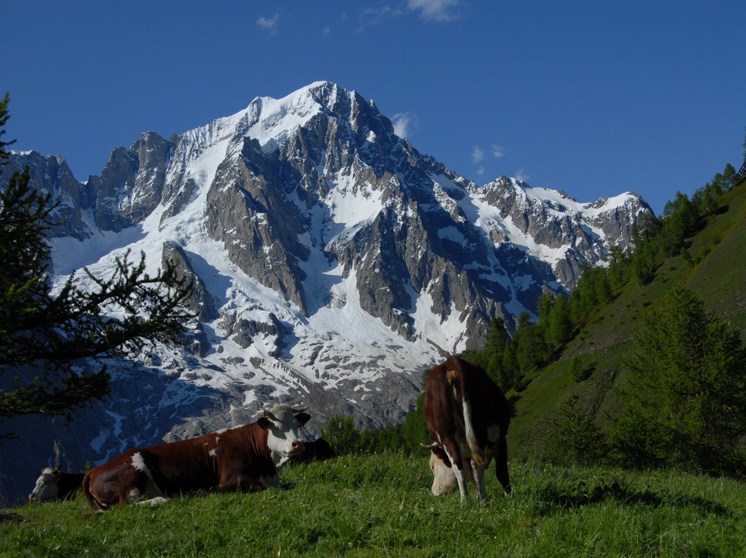 Verrand旅游景点-Panizzi
