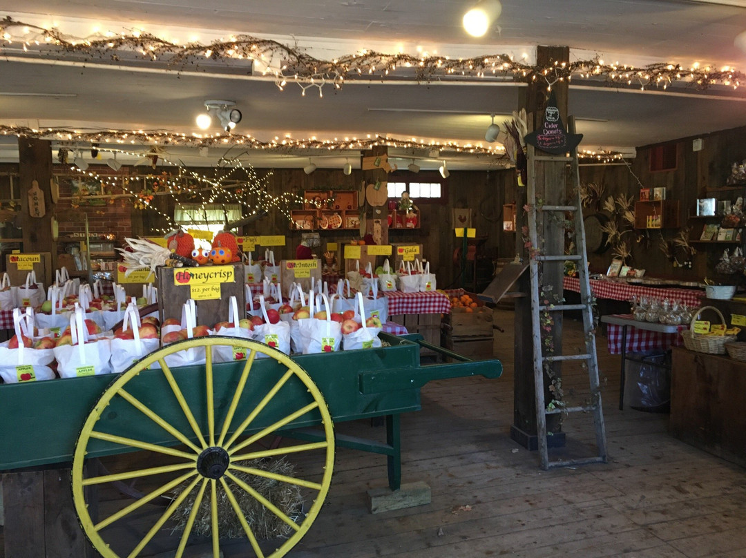 Shelburne Farm景点图片