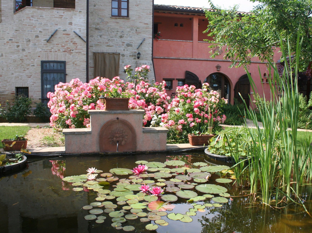 il giardino degli elfi