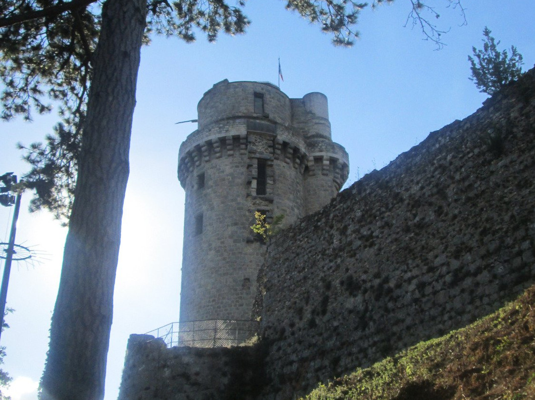 Château de Montlhéry景点图片