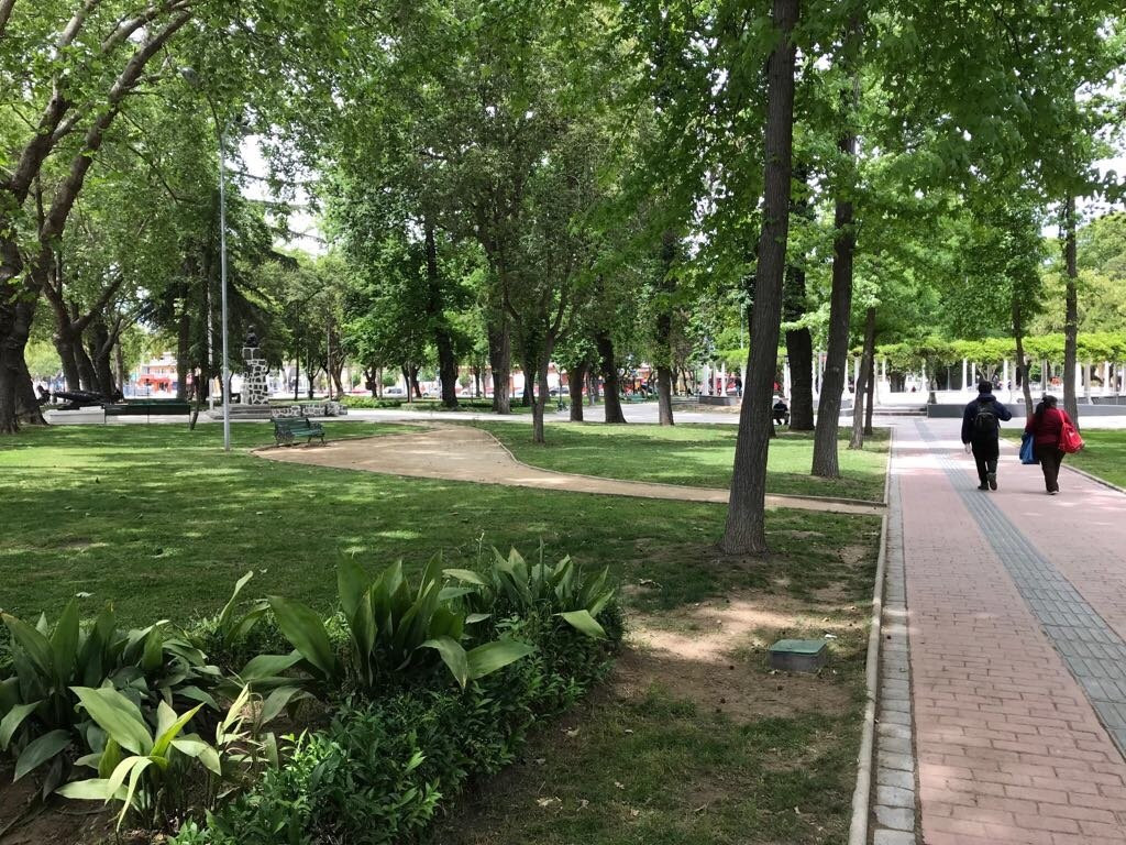 Olmue旅游景点-Plaza de Limache