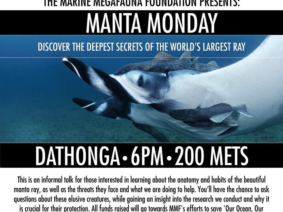 Marine Megafauna Foundation景点图片