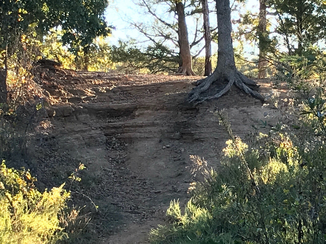 Rockledge Park-葡萄藤必去景点