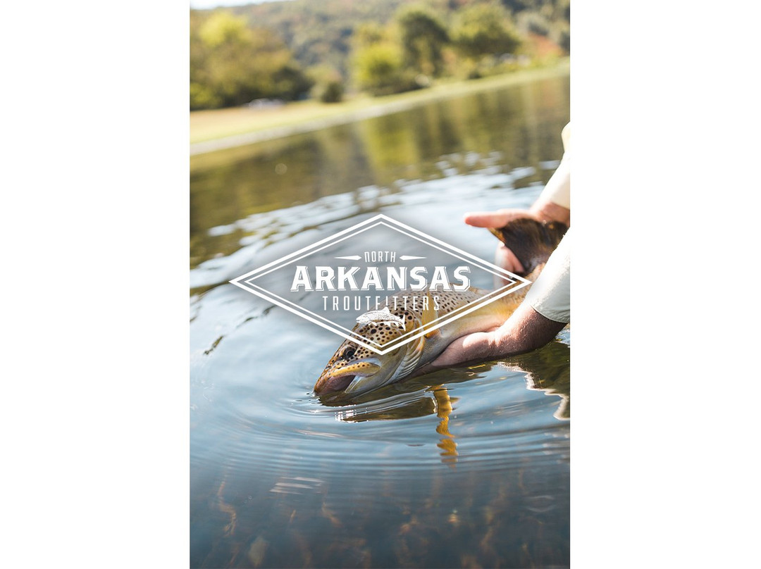 North Arkansas Troutfitters景点图片