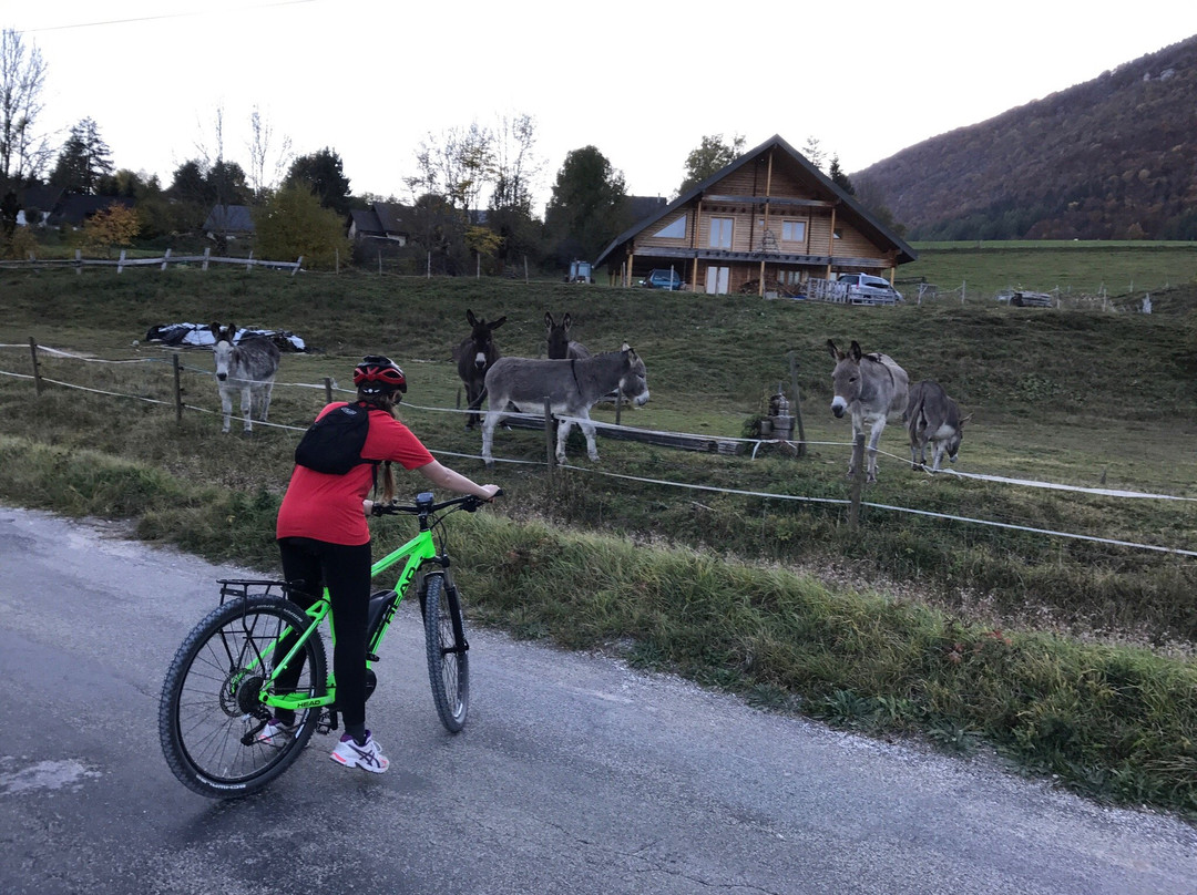 Green E-Bike Country-Saint-Nizier-du-Moucherotte必去景点