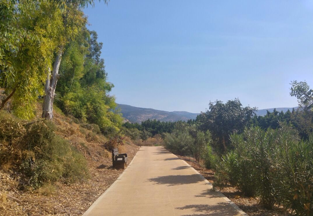 Tel Hazor National Park景点图片