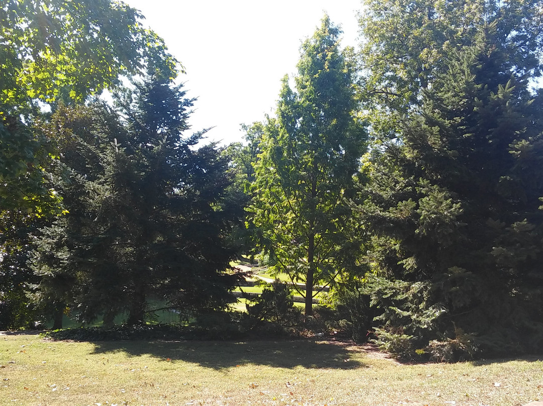 Fletcher Park景点图片