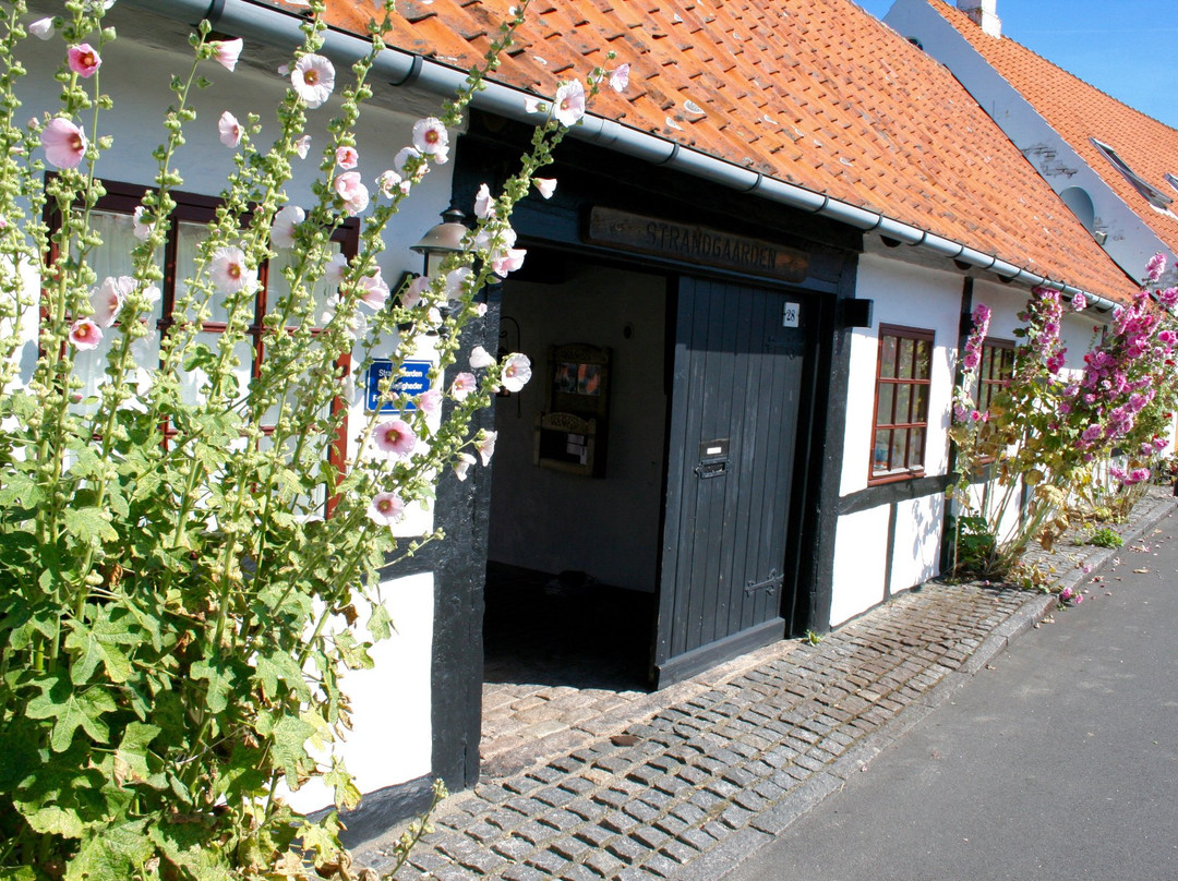 Strandgaarden Apartments Bornholm主图