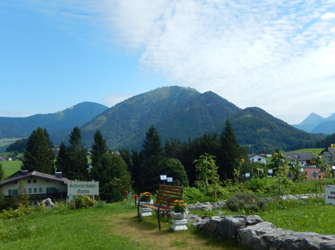 Langlaufdorf Faistenau景点图片