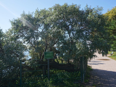 Ursinin Kallio-赫尔辛基必去景点