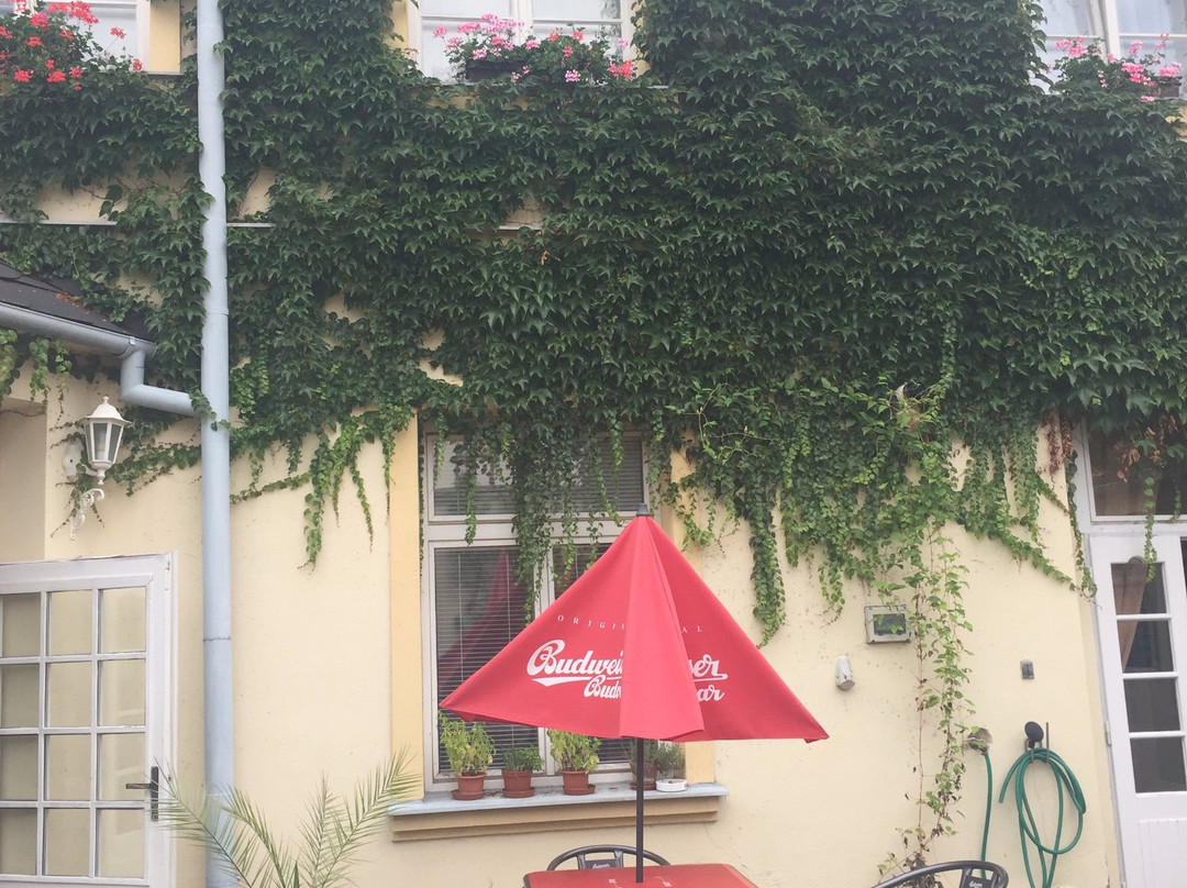 Hotel Alster主图