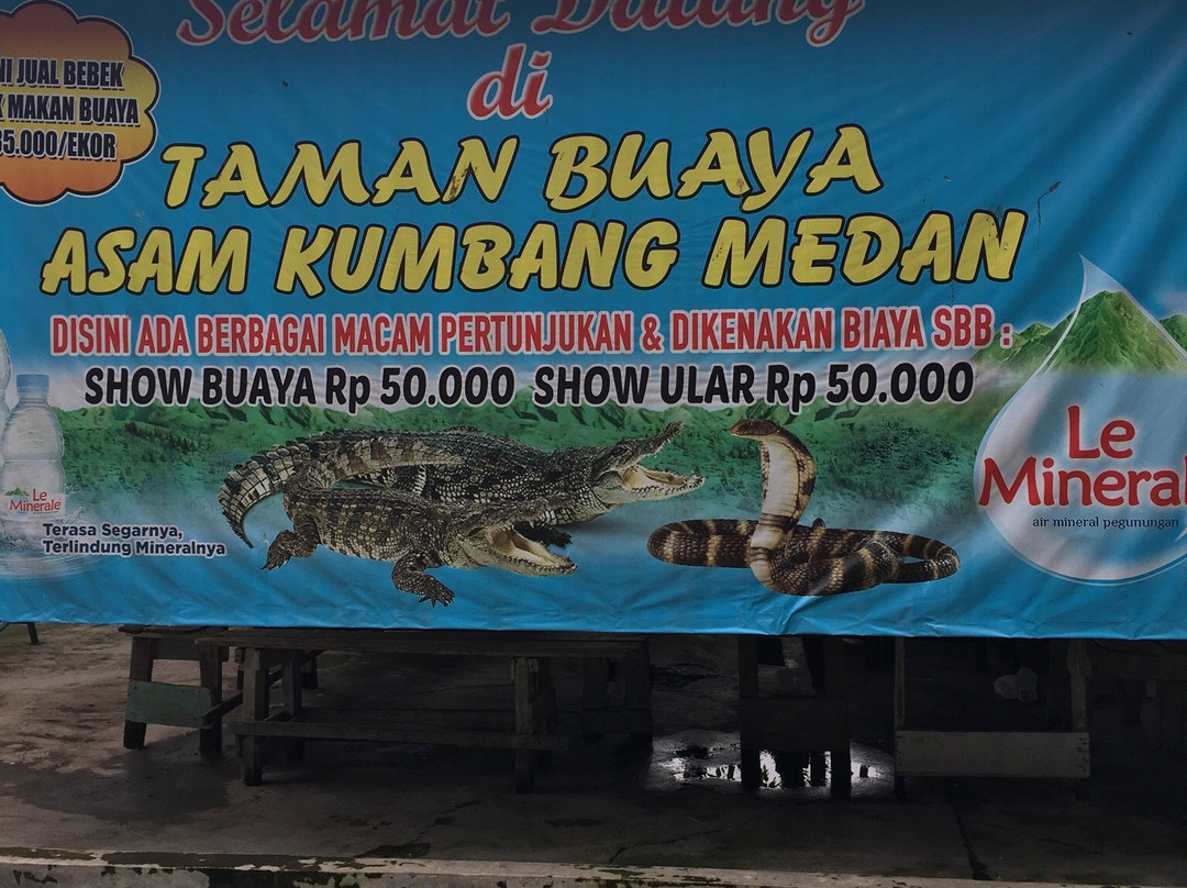 Asam Kumbang Crocodile Farm-棉兰必去景点