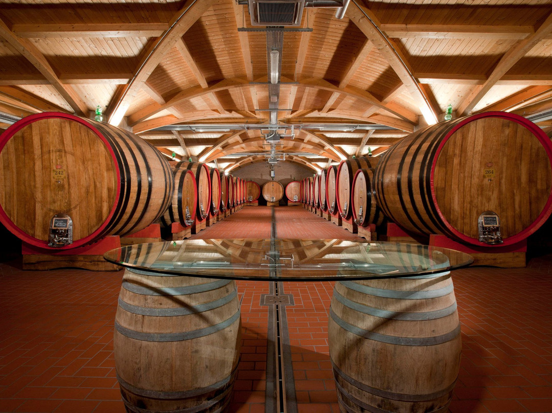 Cantina di Montalcino-蒙塔尔奇诺必去景点
