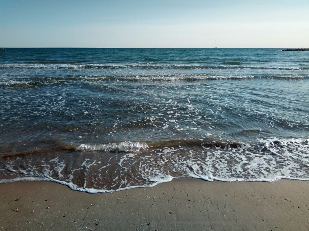 Playa de Les Gavines景点图片