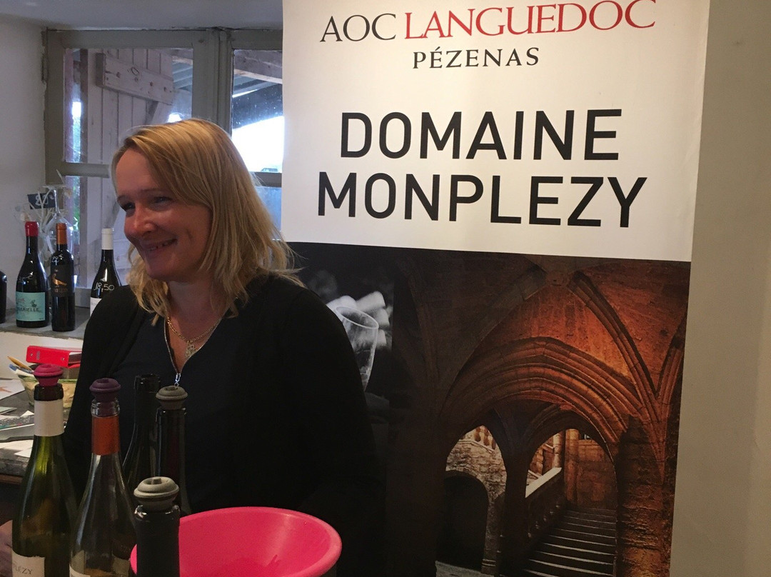 Domaine Monplezy景点图片